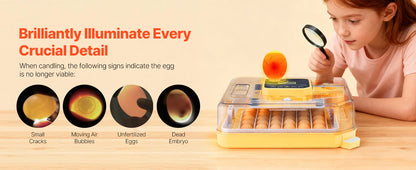 Egg Incubator with LED Candler Temperature Auto Humidity  360° View Clear Window