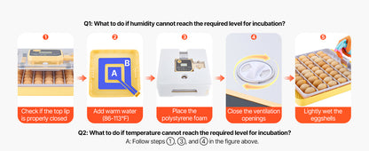 Egg Incubator with LED Candler Temperature Auto Humidity  360° View Clear Window