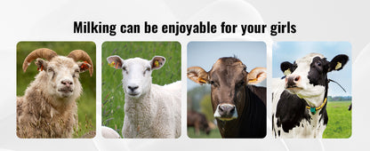 Milking Machine Stainless Steel Automatic Pulsation Cup Tubes